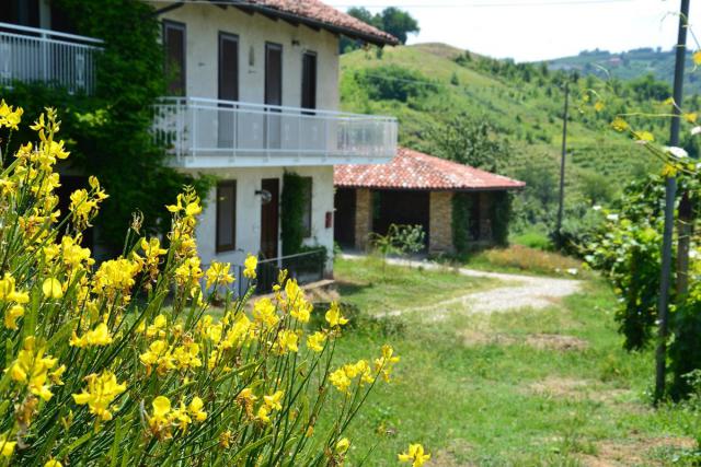 Photos for house 641496