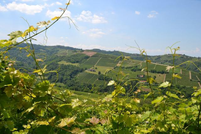 Photos for house 641496