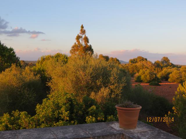 Photos for house 641500