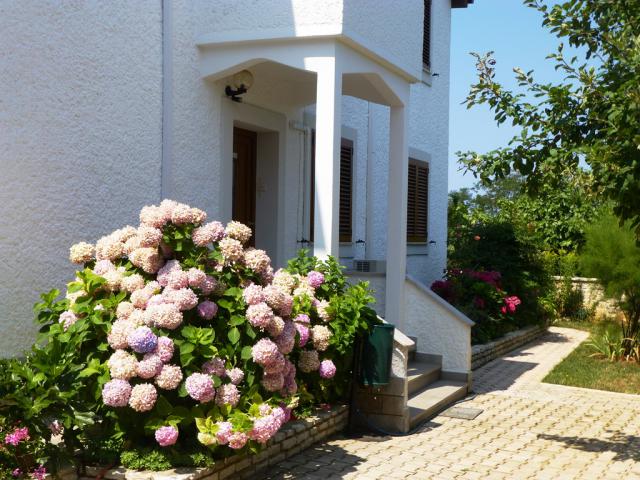 Photos for house 641504