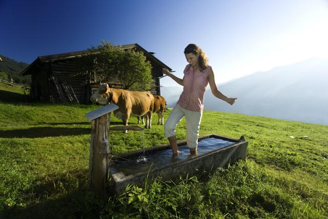 Photos for house 641516