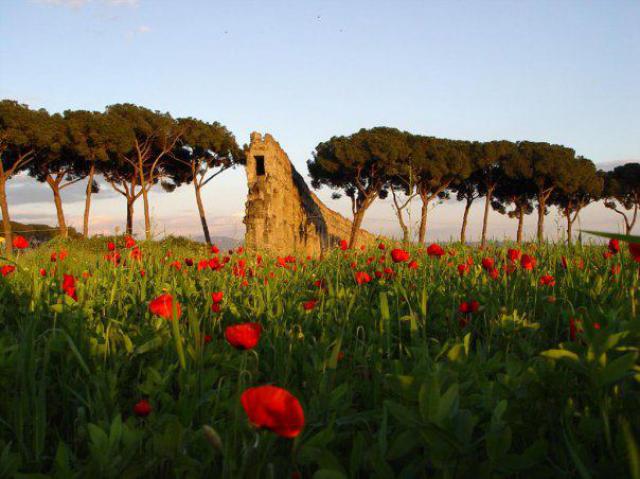 Photos for house 641517