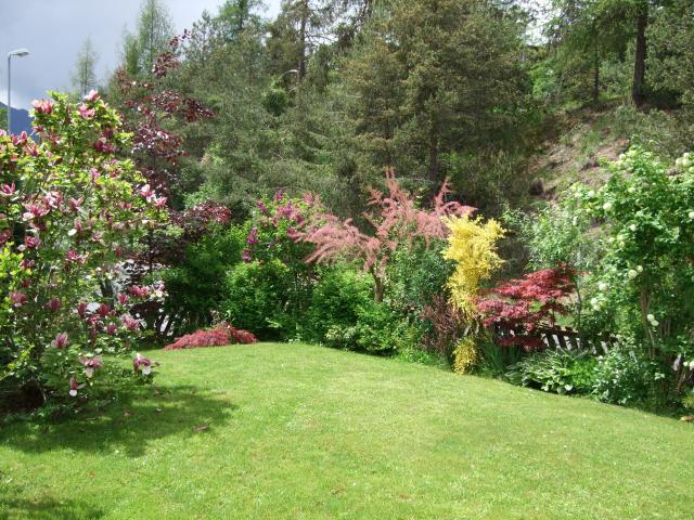 Photos for house 641528