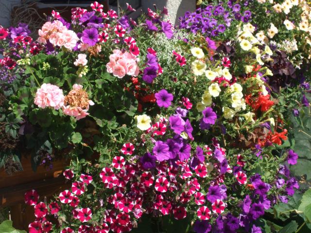 Photos for house 641528