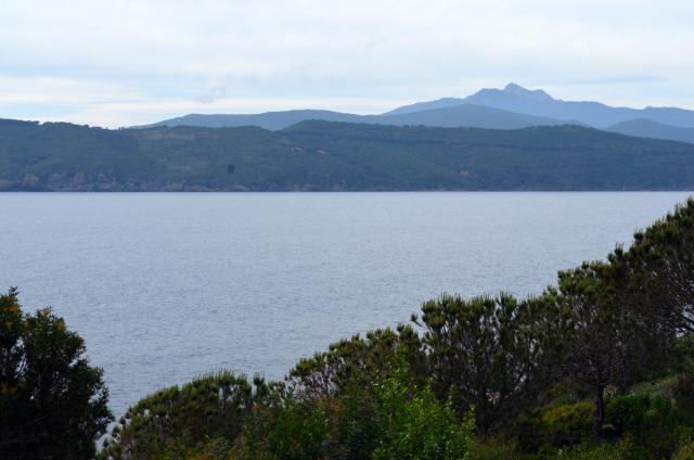 Photos for house 641531