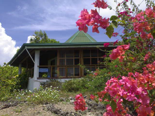 Photos for house 641541