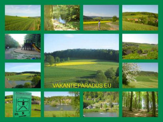 Photos for house 641550