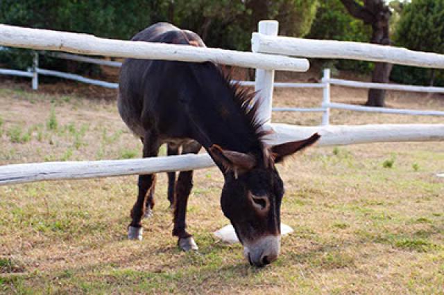 Photos for house 641563