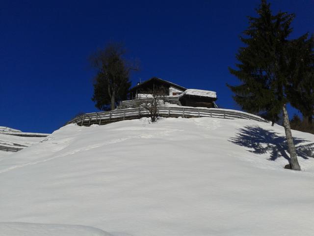 Photos for house 641564