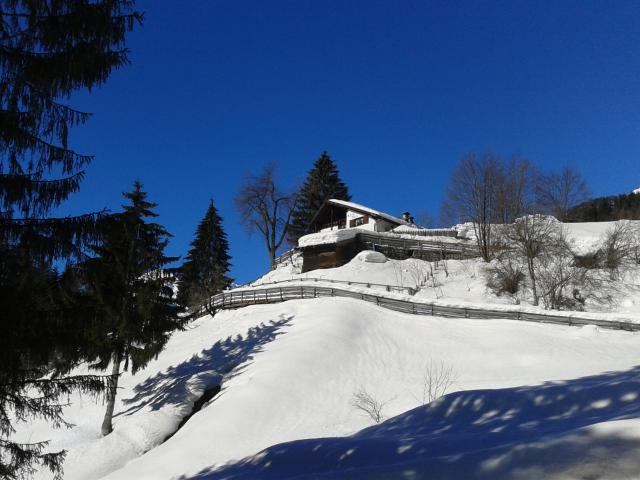 Photos for house 641564