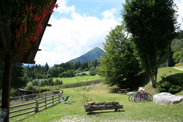 Photos for house 641564