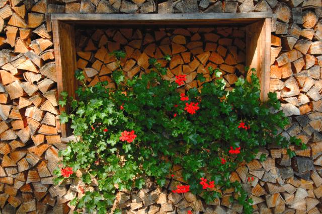 Photos for house 641564