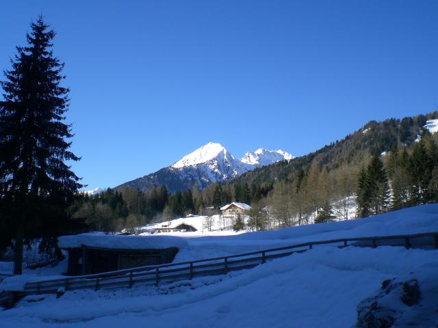 Photos for house 641564