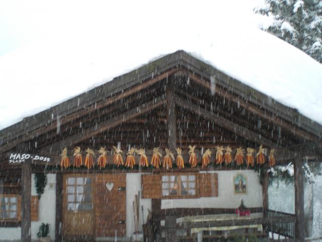 Photos for house 641564