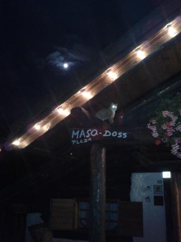 Photos for house 641564