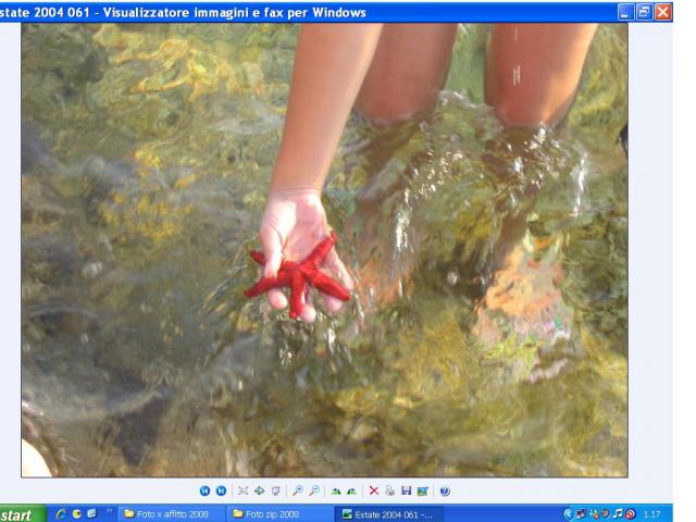 Photos for house 641565