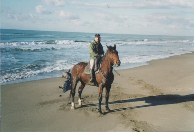 Photos for house 641574