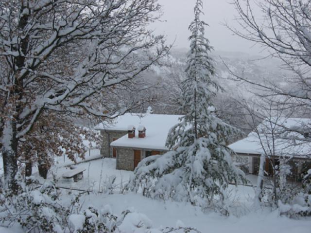 Photos for house 641579