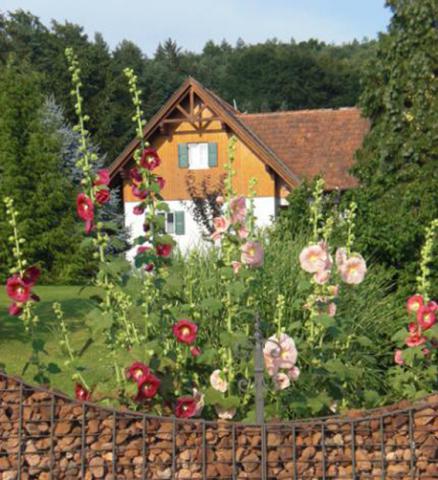 Photos for house 641580