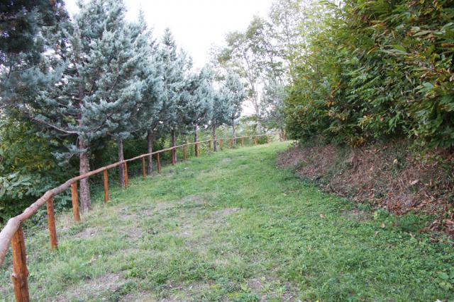 Photos for house 641585