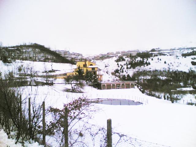 Photos for house 641585