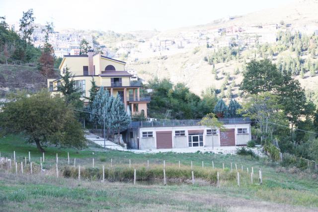 Photos for house 641585