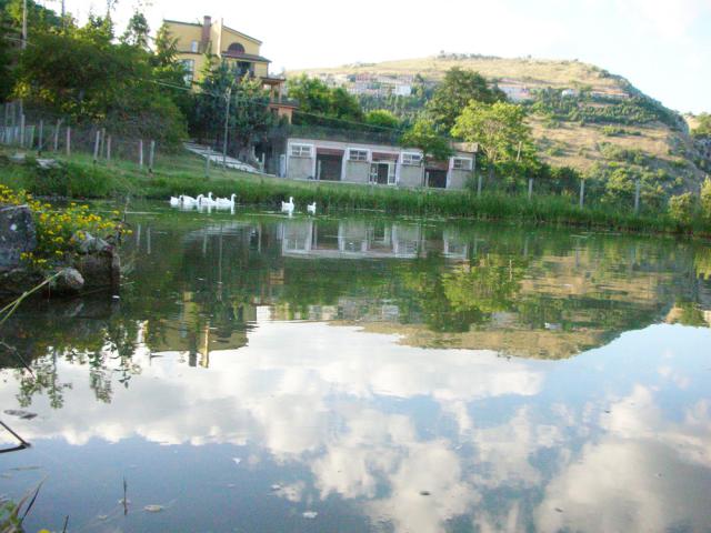 Photos for house 641585