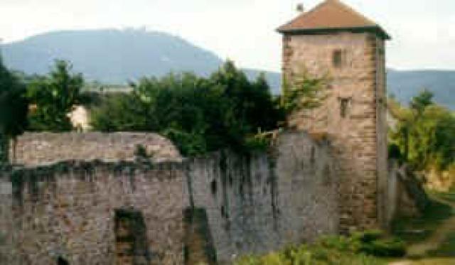 Photos for house 640161