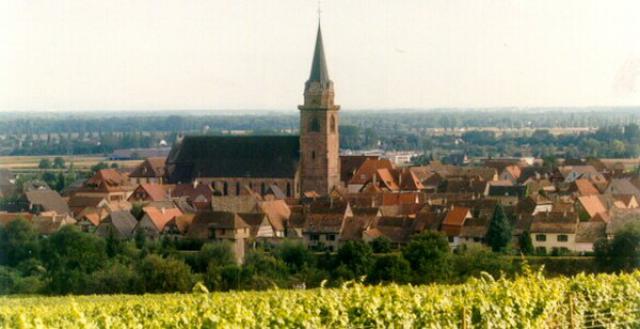 Photos for house 640161