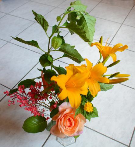 Photos for house 640161