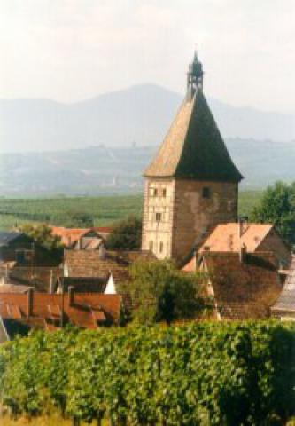 Photos for house 640161