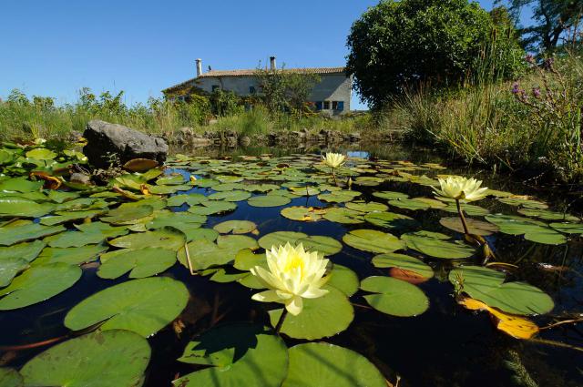 Photos for house 641614