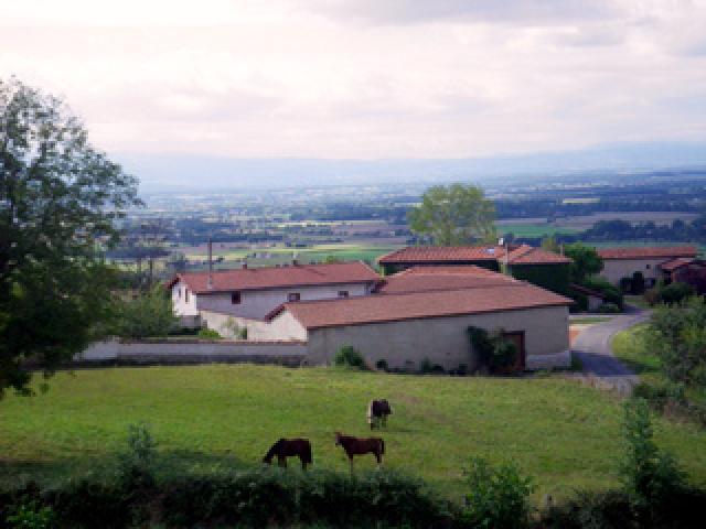 Photos for house 641617