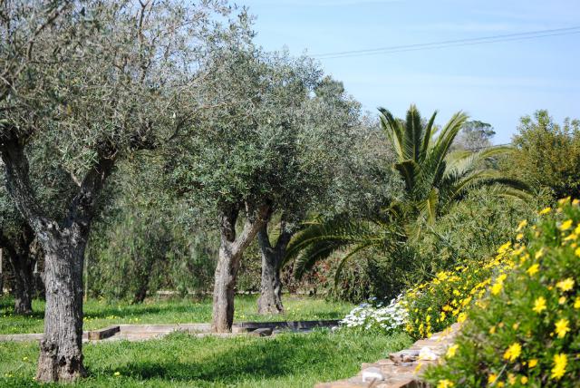 Photos for house 641622