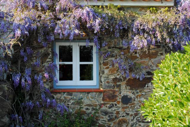 Photos for house 641622