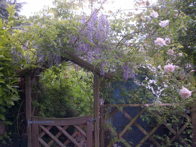 Photos for house 641628