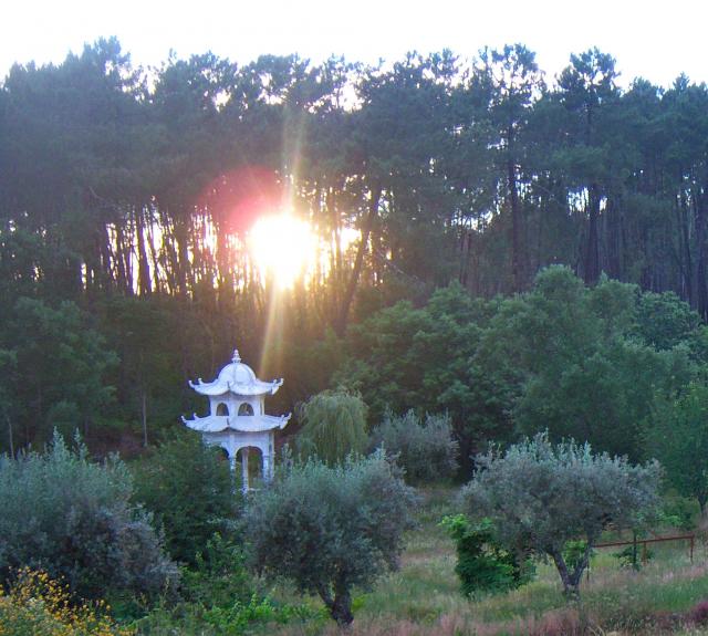 Photos for house 641630