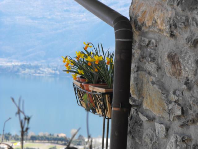 Photos for house 641631