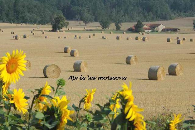 Photos for house 641632