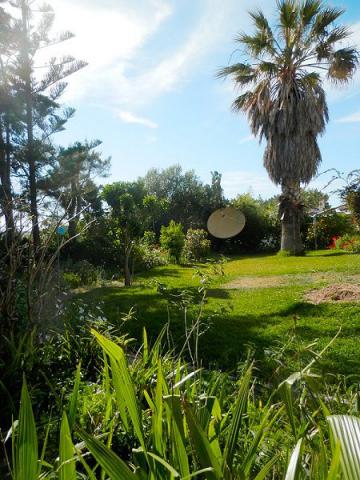 Photos for house 641642