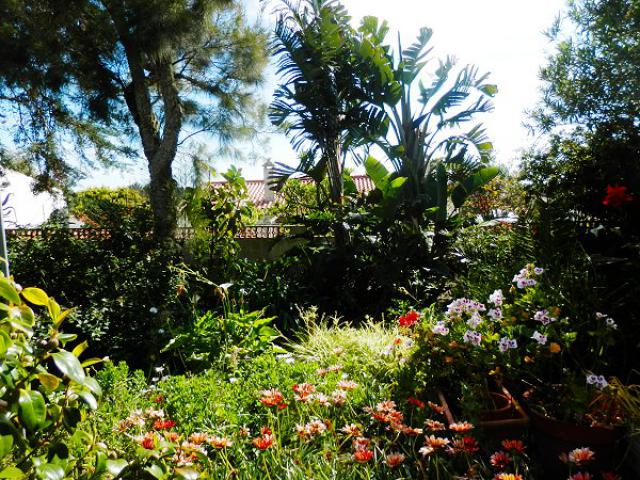 Photos for house 641642