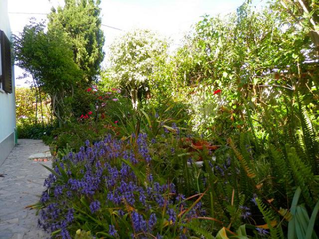 Photos for house 641642