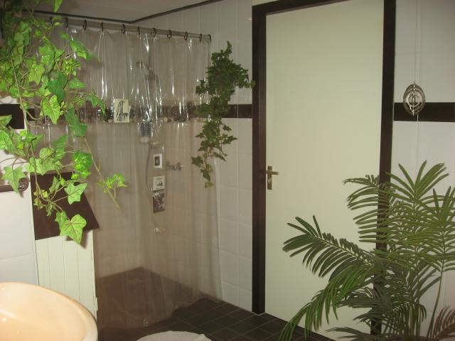 Photos for house 641647