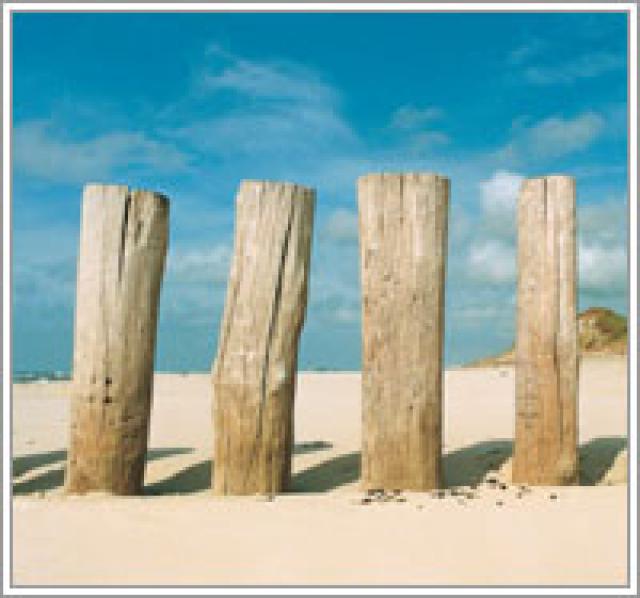 Photos for house 641647