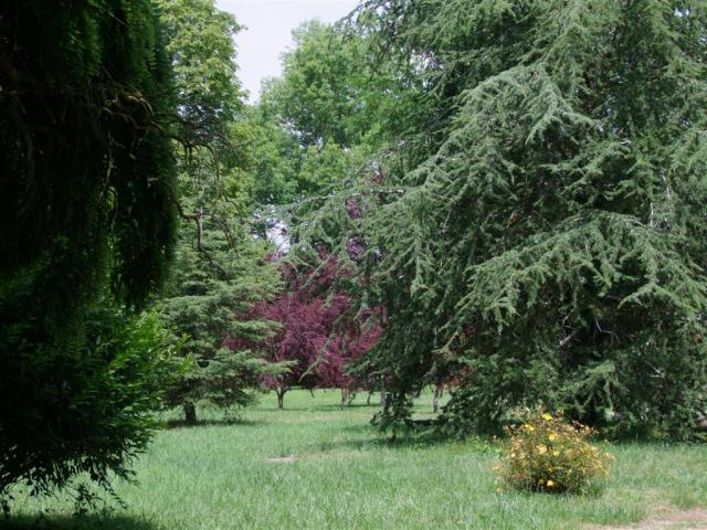 Photos for house 641661