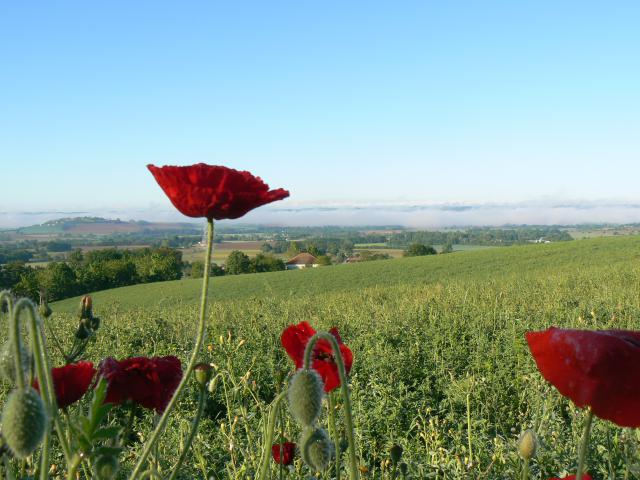 Photos for house 641663