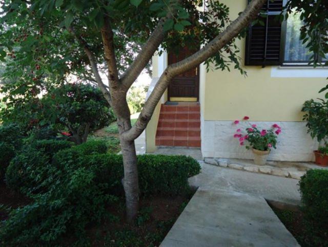 Photos for house 641668