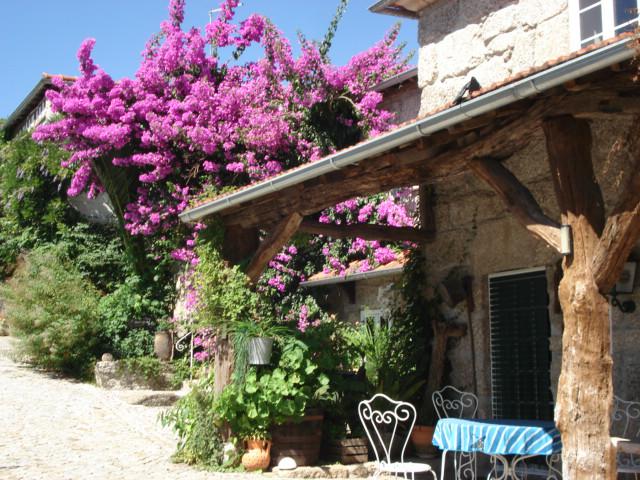 Photos for house 641716