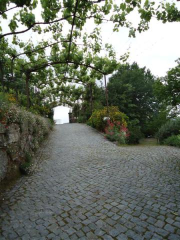 Photos for house 641716