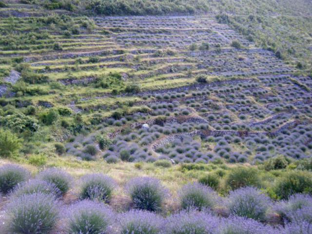 Photos for house 641717